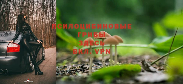 СК Белокуриха