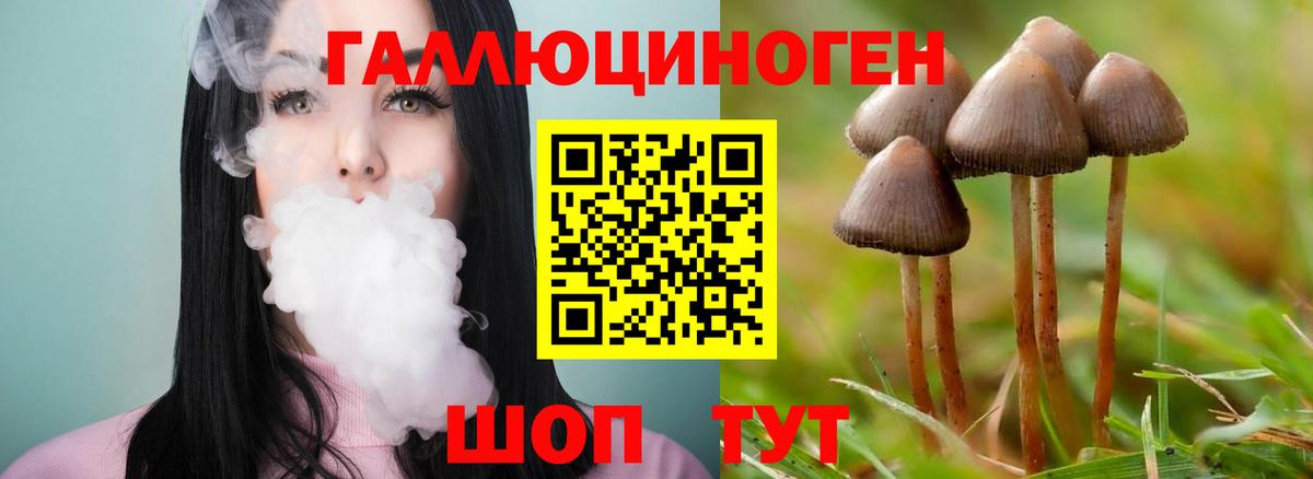 Дагестанские Огни  хочу наркоту  Вход с VPN  Псилоцибиновые грибы мухоморы 